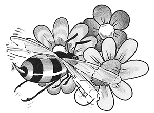 Illustrazione iconica dell'articolo