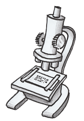 Microscopio