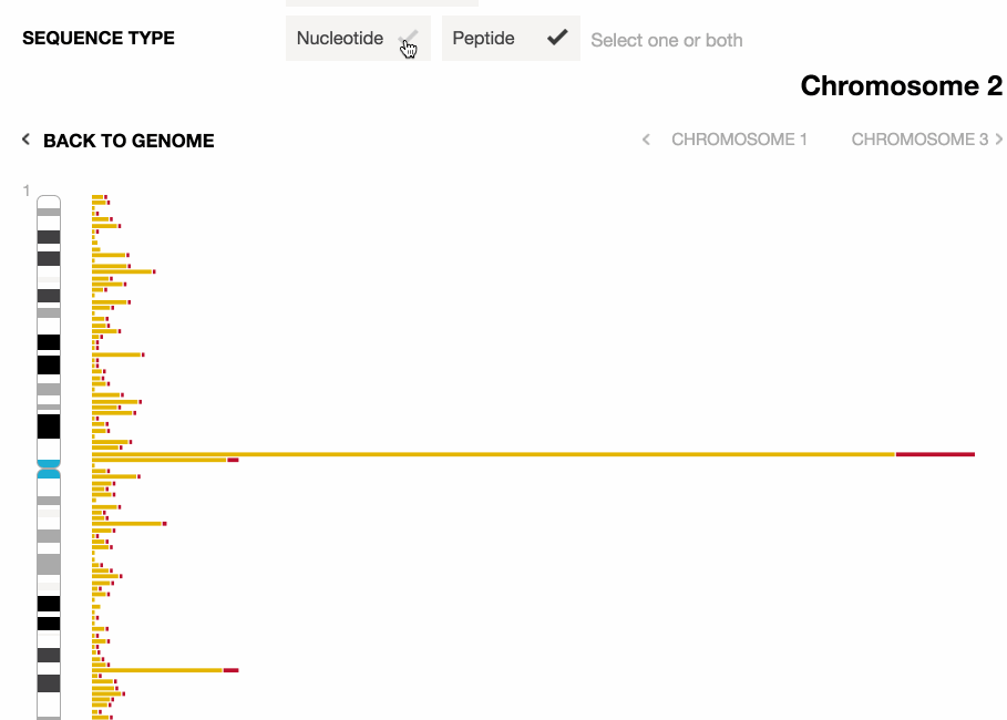 Barre orizzontali allineate con i loro rispettivi segmenti della sequenza del genoma umano