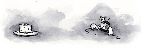 Working with Others: Accessibility and User Research