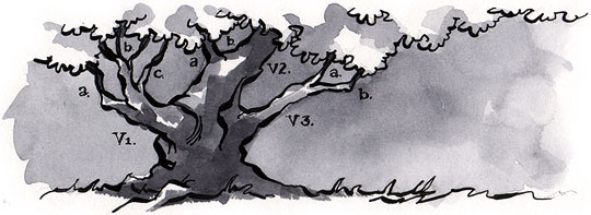 Collaborate and Connect with Subversion