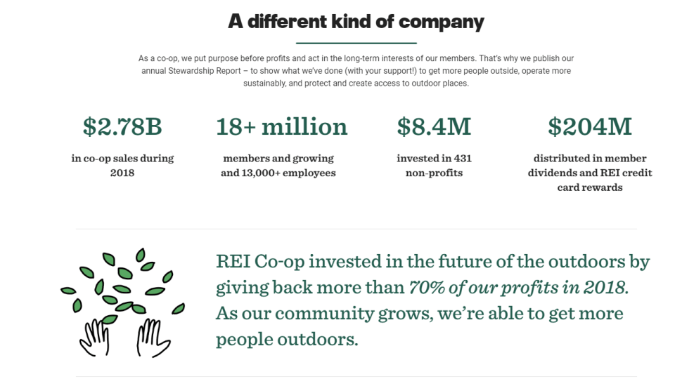 Screenshot of REI's stewardship report