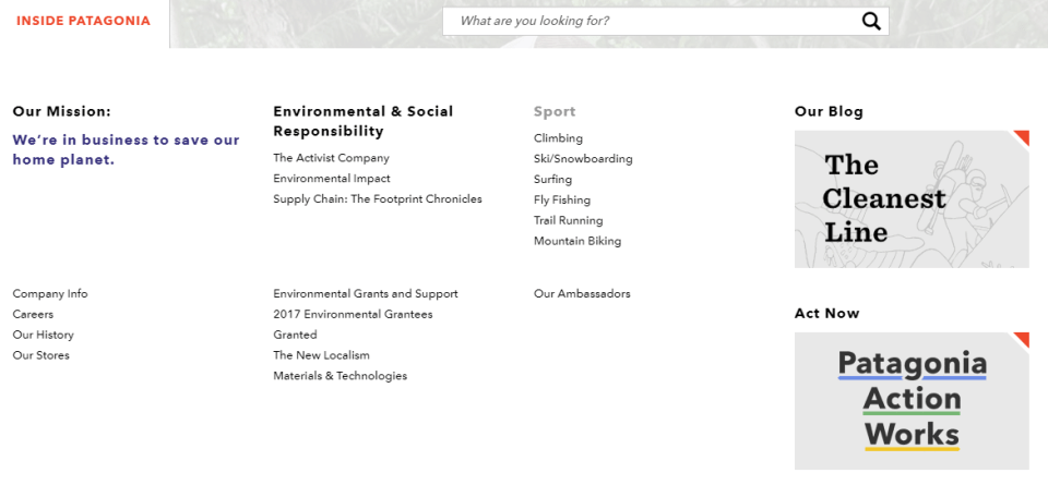 Screenshot of Patagonia's page on environmental responsibility